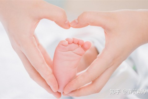 http://baoding.51dzb.net/post/188.html|保定新闻中心